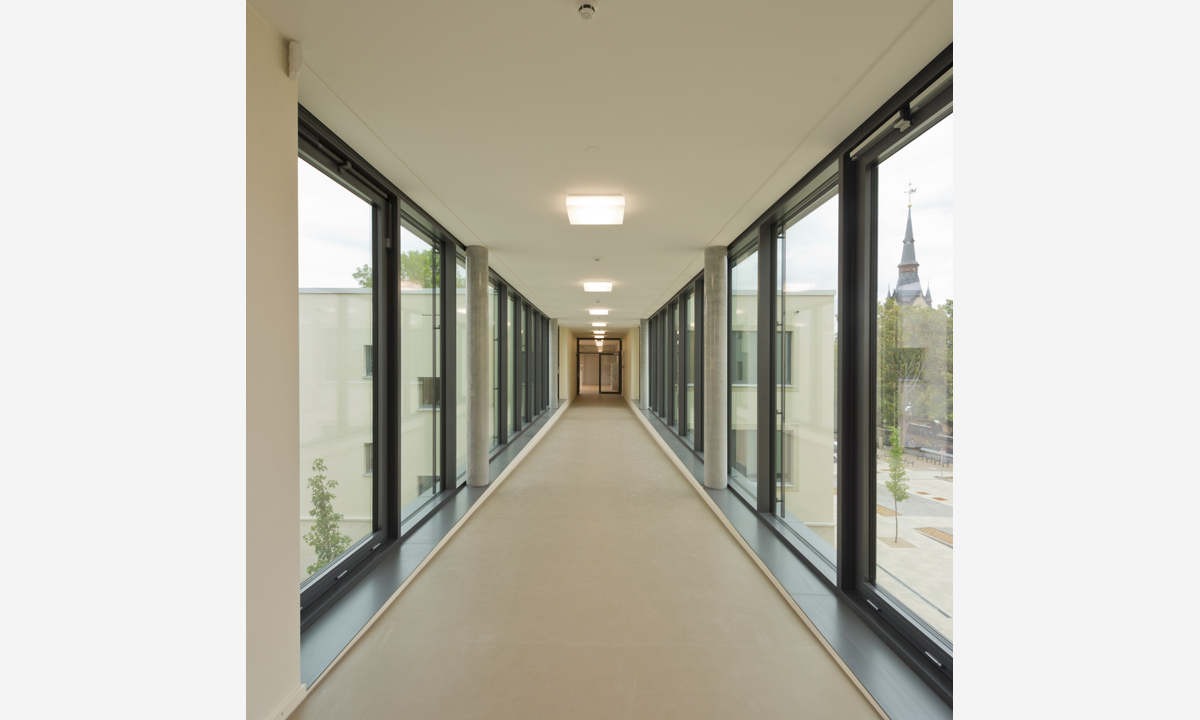 Copyright Michael Miltzow 2018 AUG5592 opt-a.jpg